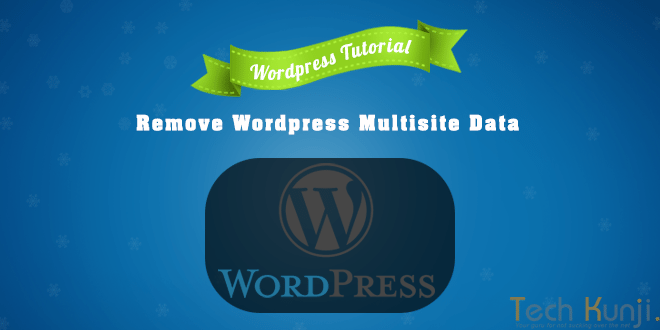 Remove WordPress Multisite data
